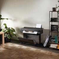 HP5HB10DB19