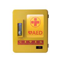 AED Alarmed Outdoor Wall Mountable Heated Metal Cabinet Yellow 2105