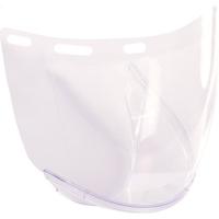 Riley Reon Polycarbonate Visor