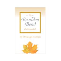 Basildon Bond Champagne Envelope 95 x 143mm (200 Pack) 100080069