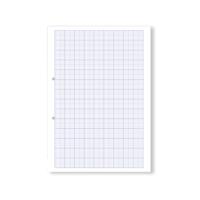 Hamelin Loose Leaf Graph Paper 20mm 1000 Page Punched 2 Hole A4 (Pack of 5) 100104521