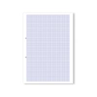 Hamelin Loose Leaf Graph Paper 10mm 1000 Page Punched 2 Hole A4 (Pack of 5) 100104375