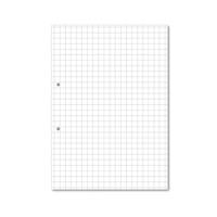 Hamelin Loose Leaf Paper 10mm Squared 1000 Page Punched 2 Hole A4 (Pack of 5) 100104180