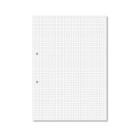 Hamelin Loose Leaf Paper 5mm Squared 1000 Page Punched 2 Hole A4 (Pack of 5) 100103318