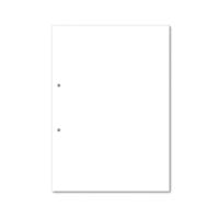 Hamelin Loose Leaf Plain Paper 1000 Page Punched 2 Hole A4 (Pack of 5) 100100084