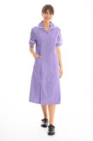 Work in Style DVDDR Nursing Dress: Comfortable, Functional Professional Attire for Healthcare Worker