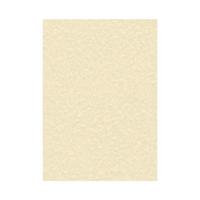 Decadry Parchment A4 Letterhead Paper 95gsm Champagne (Pack of 100) PCL1601