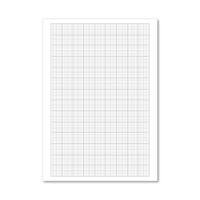 Loose Leaf Graph Paper A4 (500 Pack) 100103410