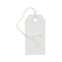 Go Secure by 5 Star Strung Tags x10 60x120mm White Pack of 50 PB11281