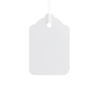 Go Secure by 5 Star Strung Tags x100 29x20mm White Pack of 25 PB11286
