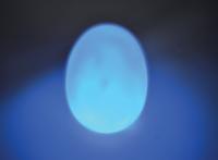 LED Sensory Light Up Egg Mood Light Battery Operated 90mm (Pack of 4) SCCE4