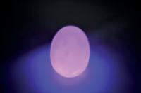 LED Sensory Light Up Egg Mood Light Battery Operated 90mm (Pack of 4) SCCE4