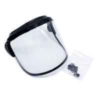 PureFlo Esm+ Pf33 Visor Assembly