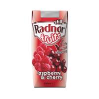 Radnor Fruits Raspberry + Cherry Tetra Pack 200ml (Pack of 24) T-RF20STRC/24
