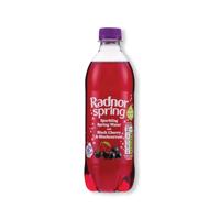 Sparkling Water Blk Cherry/Blackcurrant 500ml Pack of 24 P-RS5SPCB/24
