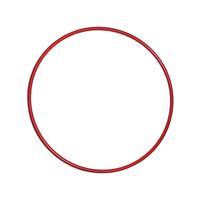 Pre Sport Essential Hula Hoop 24 Inch Red EDB015S