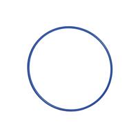 Pre Sport Essential Hula Hoop 18 Inch Blue EDB020R