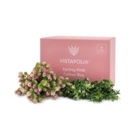 Vistafolia Spring Pink Colour Box (Pack of 30) CBX-SPK