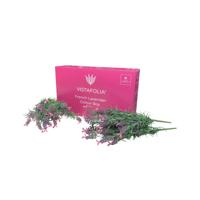 Vistafolia French Lavender Pink Colour Box (Pack of 10) CBX-LAV-PNK