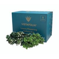 Vistafolia Flowering Texture Box (Pack of 24) TBX-FLW