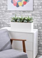 Agave and Succulent Matte Lava Trough LLRAGS350/RDYLV