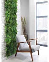 Fern Green Wall RGWFR5050