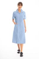 Work in Style DVDDR Nursing Dress: Comfortable, Functional Professional Attire for Healthcare Worker