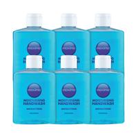 Antibacterial Soap 250ml (Pack Of 6) 0604002