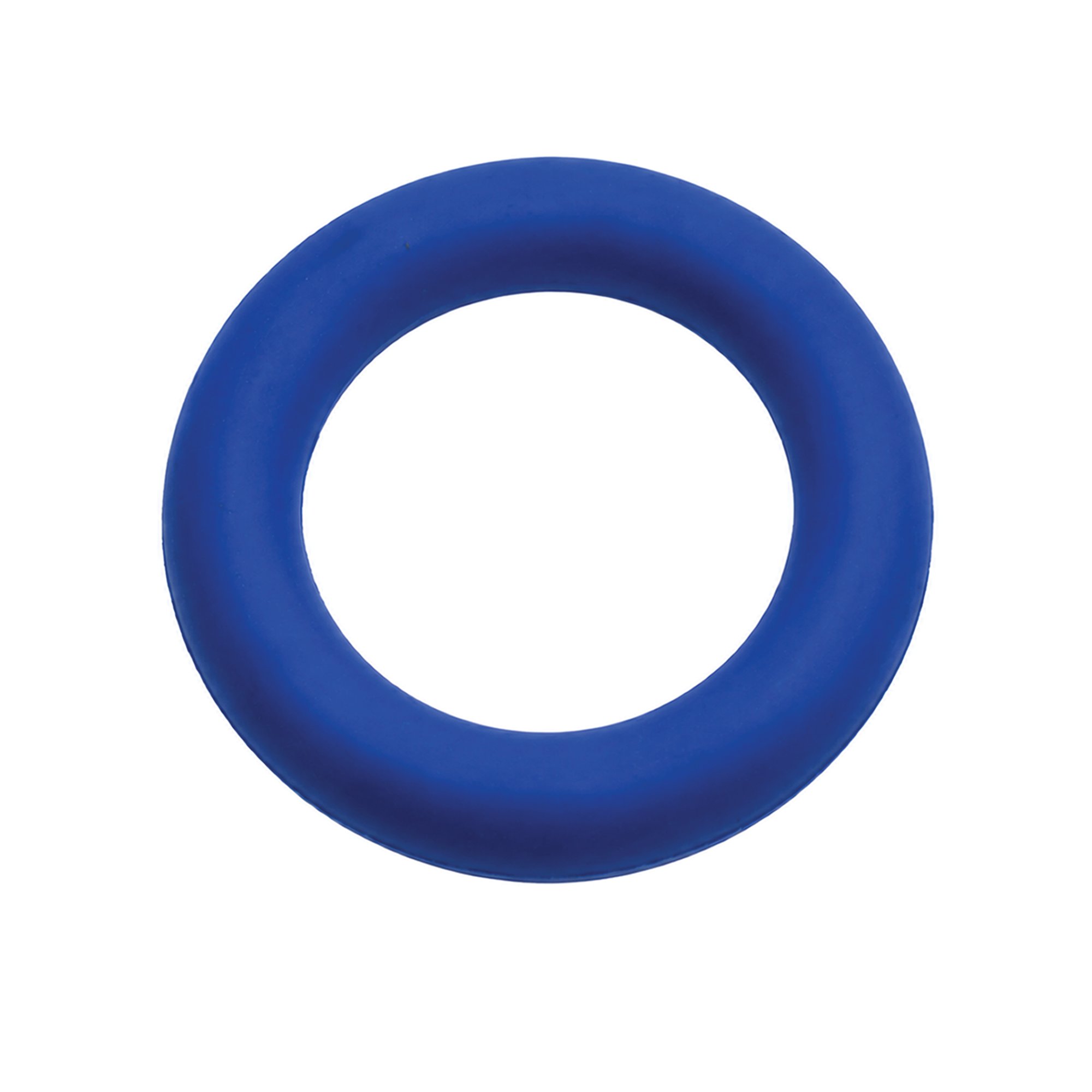 Pre Sport Sponge Rubber Ring 150mm Blue EDB013R