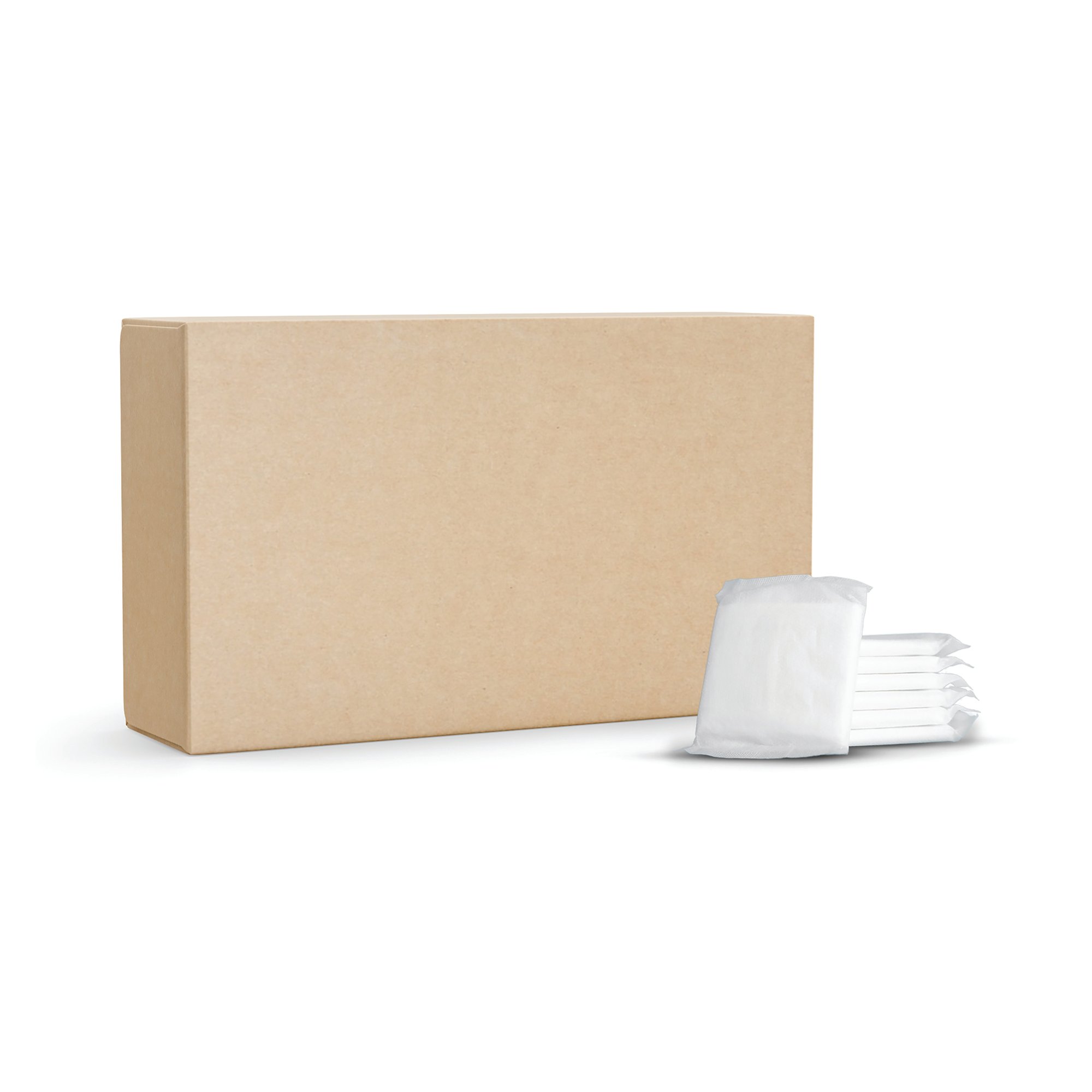Standard Regular Flow/Day Sanitary Pads with Wings (Pack of 500) RWREGBULK