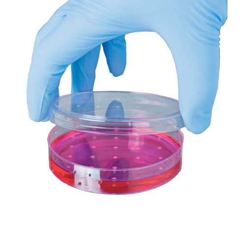 Shield Powder-Free Nitrile Gloves Small Blue (Pack of 100) GD19 | HEA00972 | Polyco Healthline