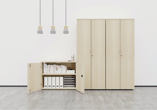 This Jemini Cupboard provides a convenient storage solution for organised office filing. Complete with four shelves, this cupboard is suitable for filing and storing lever arch and box files. The cupboard measures W800 x D450 x H2000mm and comes in a grey oak finish to complement the Jemini furniture range.