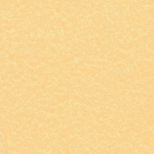 Decadry Parchment A4 Letterhead Paper 95gsm Gold (Pack of 100) PCL1600