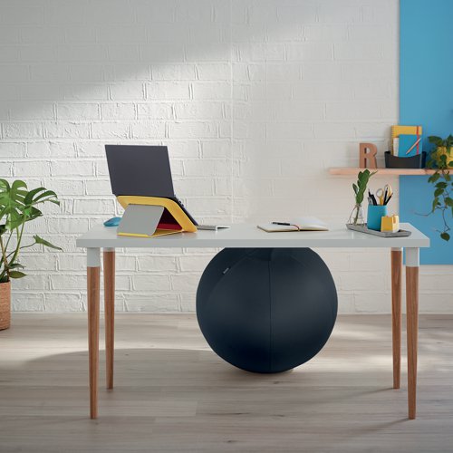 Leitz Ergo Cosy Active Sitting Ball Velvet Grey 52790089 LZ12954 Buy online at Office 5Star or contact us Tel 01594 810081 for assistance
