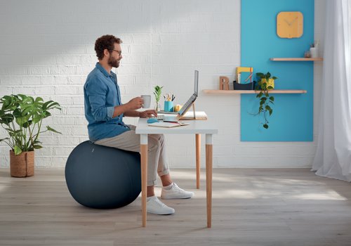The Leitz Ergo Cosy Active Sitting Ball encourages back and core muscle movement, improving posture and relieving back pain. Ideal for use as a desk chair to keep you active while you work, a yoga ball or for back stretching, physiotherapy and gym ball workouts. Quick and easy to inflate, it comes with a hand pump, 2 plugs and has a durable carry handle making it easy to carry from room to room. With its minimalist design, this stylish exercise ball chair will improve health and wellbeing by creating the perfect active working set-up. Spend over GBP 100 and claim a FREE Leitz Cosy Desk Accessories Set at www.leitz.com