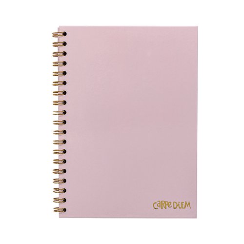 Pukka Pads Carpe Diem Wirebound Hardback Notebook Pink B5 9376-CD
