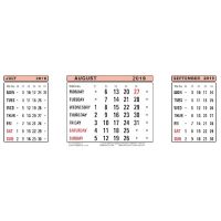At-a-Glance Refill For 3S18 3 Month View Calendar 2019 3SR19