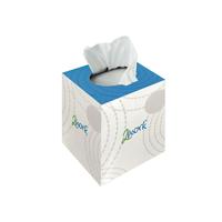2Work Facial Tissues Cube 70 Sheets (Pack of 24) FTW070