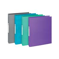 Exacompta Teksto Ring Binder 30mm 2 Ring A4 Assorted (Pack of 10) 54650E