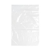 Minigrip Bag 255x355mm Clear (Pack of 1000) GL-14