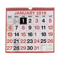 Wirebound Calendar 249x231mm 2019 KFYC2219